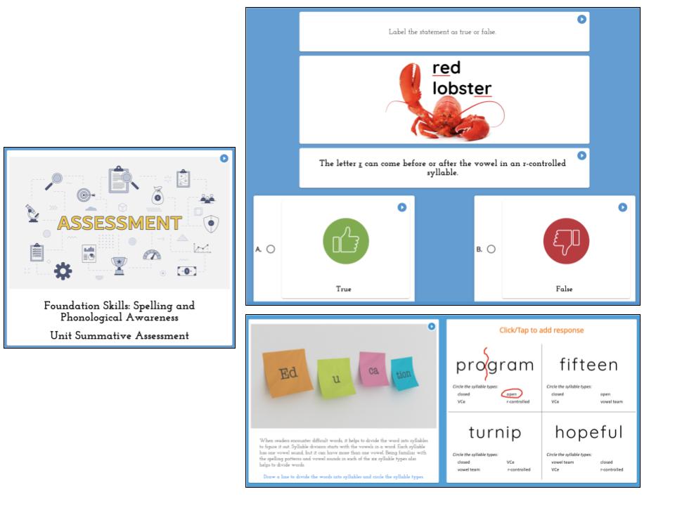 Unit Summative Elementary ELA Array